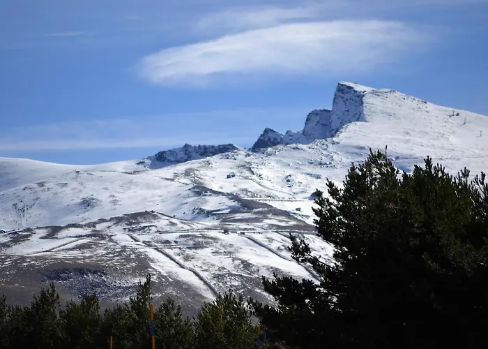 Hébergement de vacances Cortijo Luque *