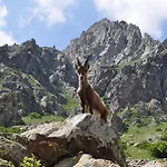 Cortijo Luque Нерха