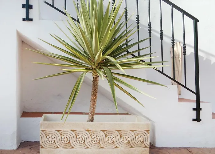 Cortijo Luque * Нерха